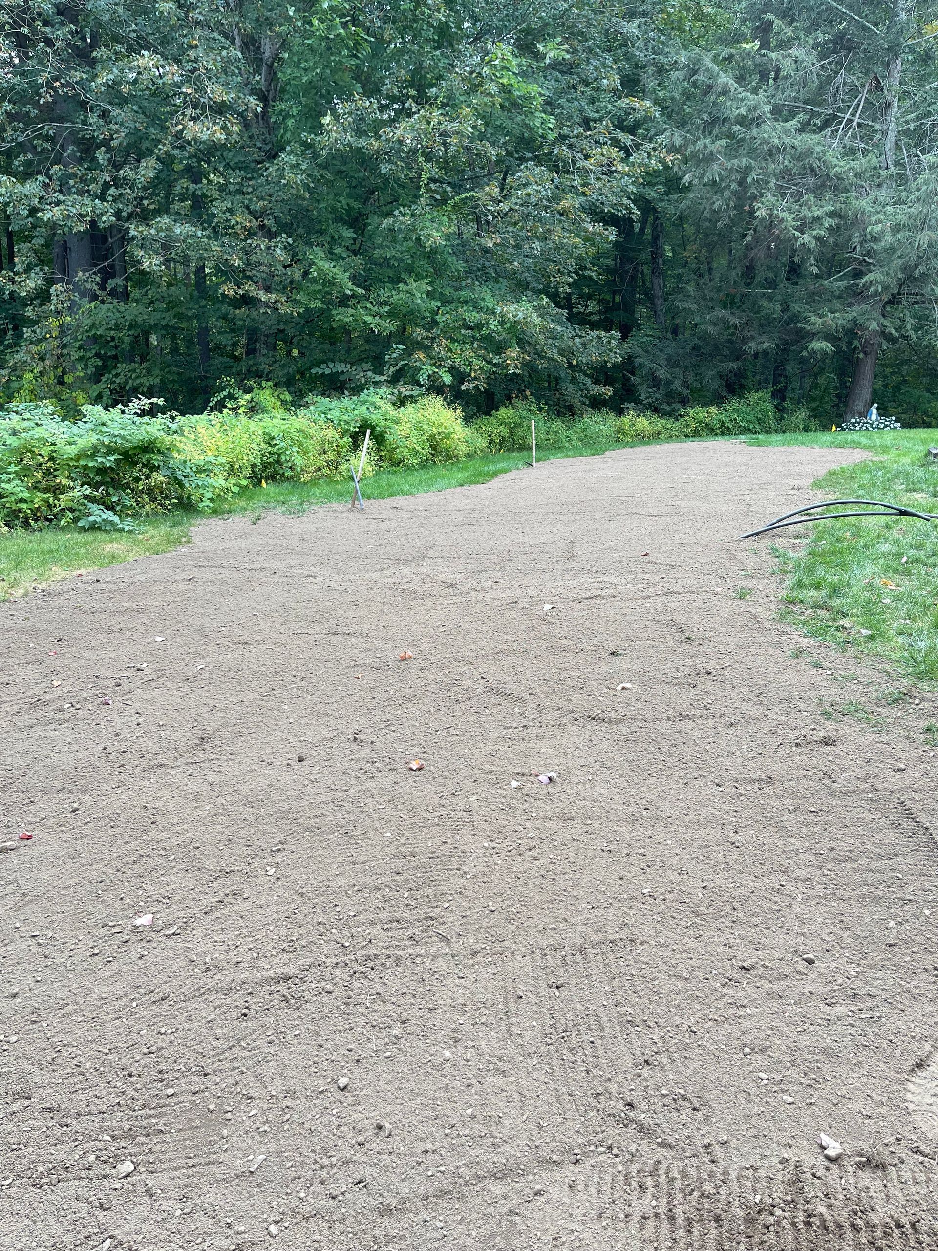 Gravel path leading towards a forest; green grass and bushes line the sides.