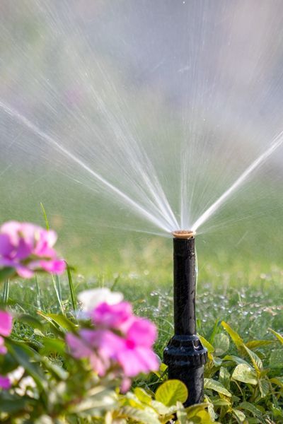 Lawn Sprinkler