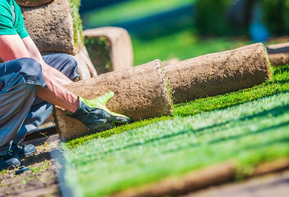 Professional Worker Installing Sods