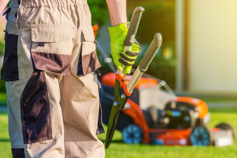 Professional Worker With Gardening Tools