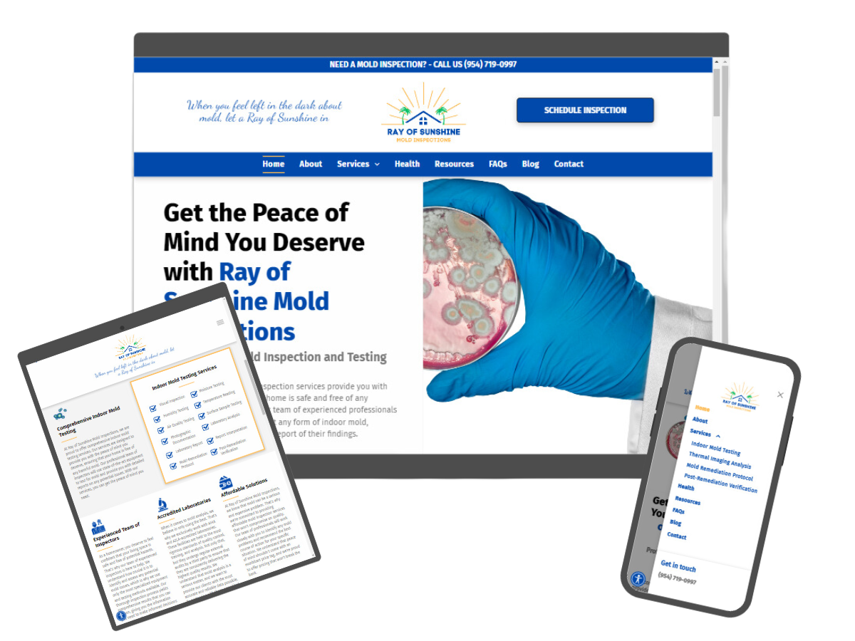 The Business Theory Mold Inspection Company Website Design