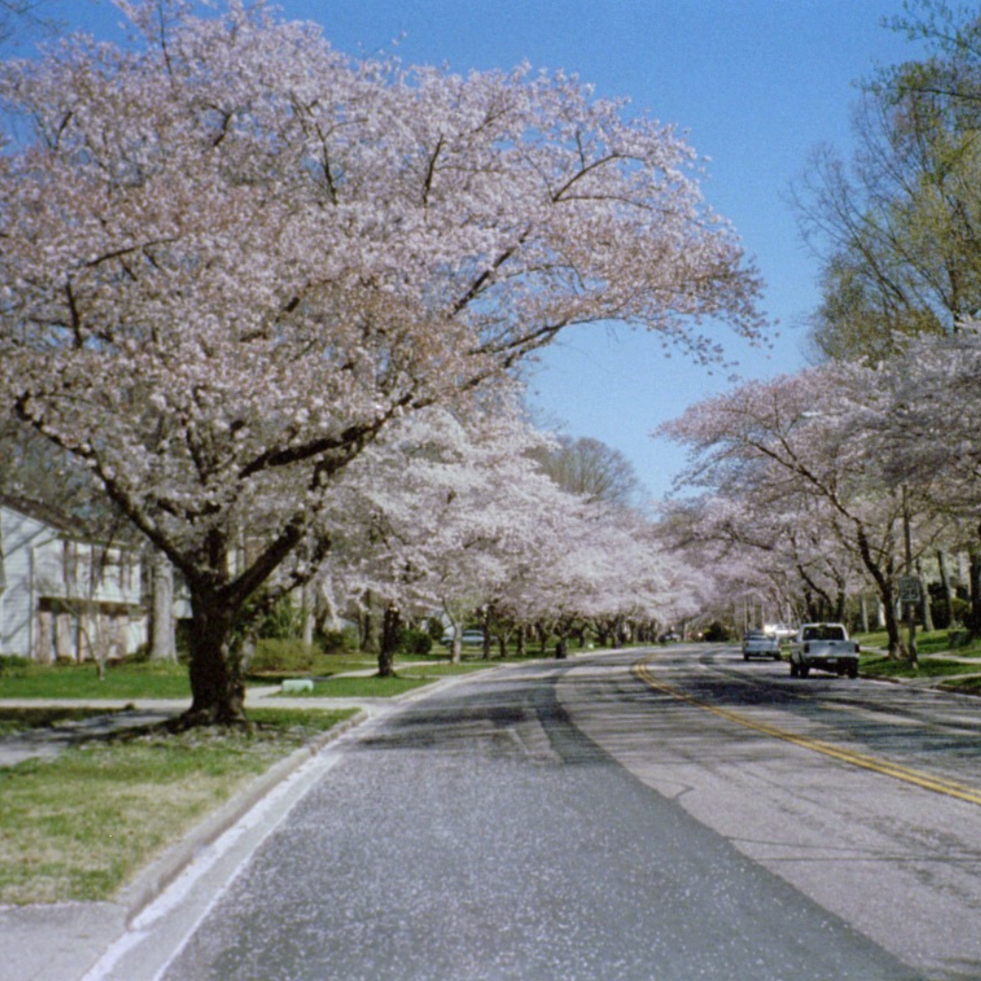Parkway in Crofton, Maryland