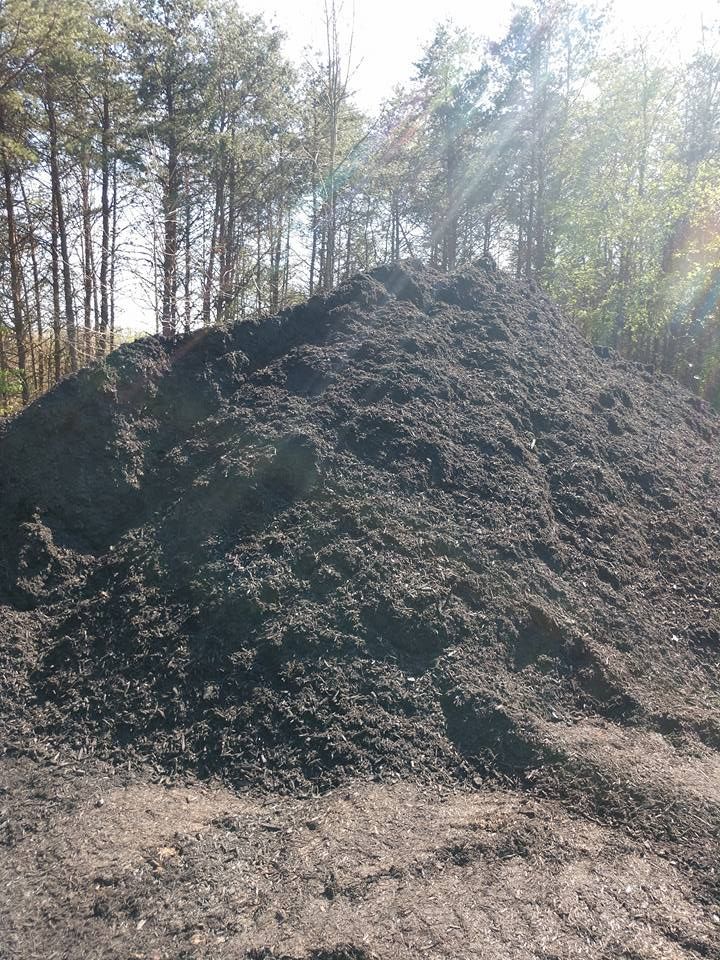 A large pile of dirt is sitting in the middle of a forest.