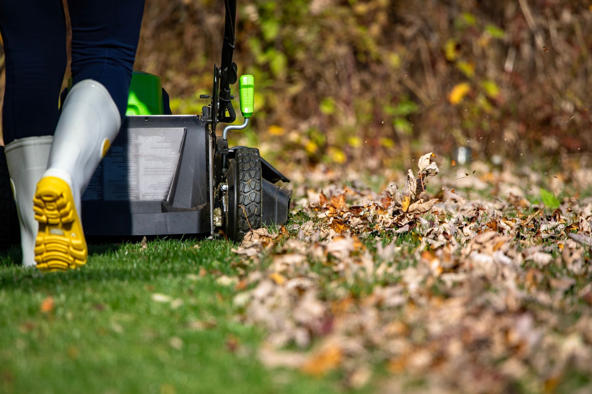 A person is using a lawn mower to remove leaves from the grass.
