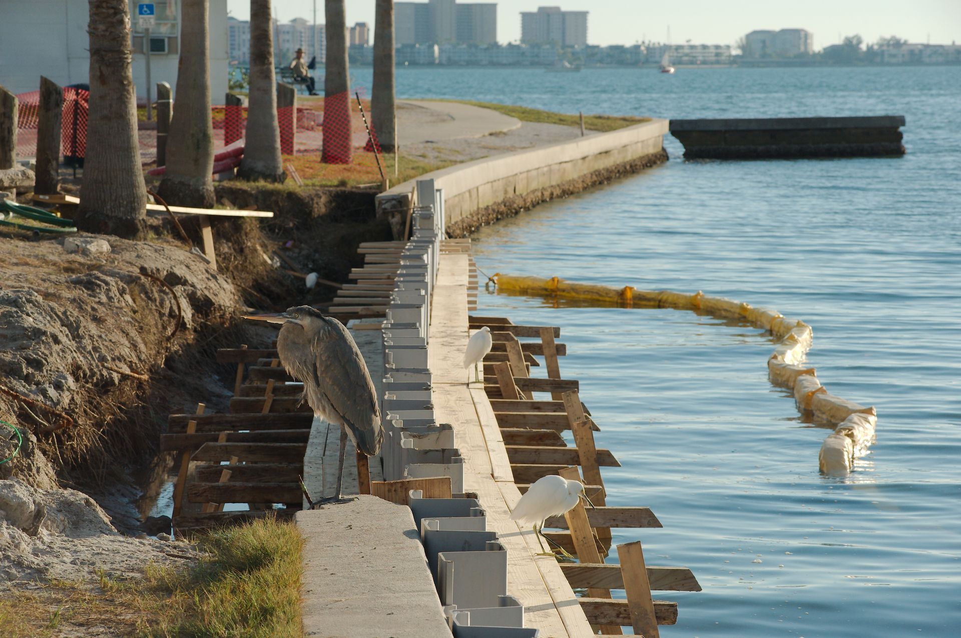 Seawall under repair with wooden supports, a heron, and an egret along the water.