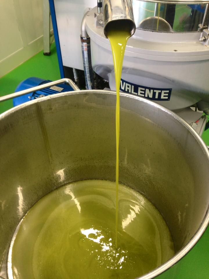 Olio d'oliva verde versato in un contenitore di acciaio inossidabile da una macchina.