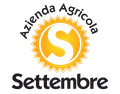 Logo dell'Azienda Agricola Settembre: uno stemma a forma di sole con una