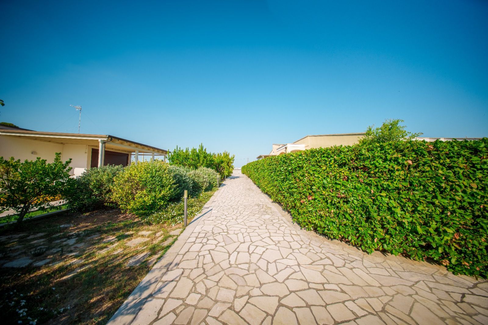 Sentiero in pietra tra siepi verdi ed edifici sotto un cielo azzurro e terso.
