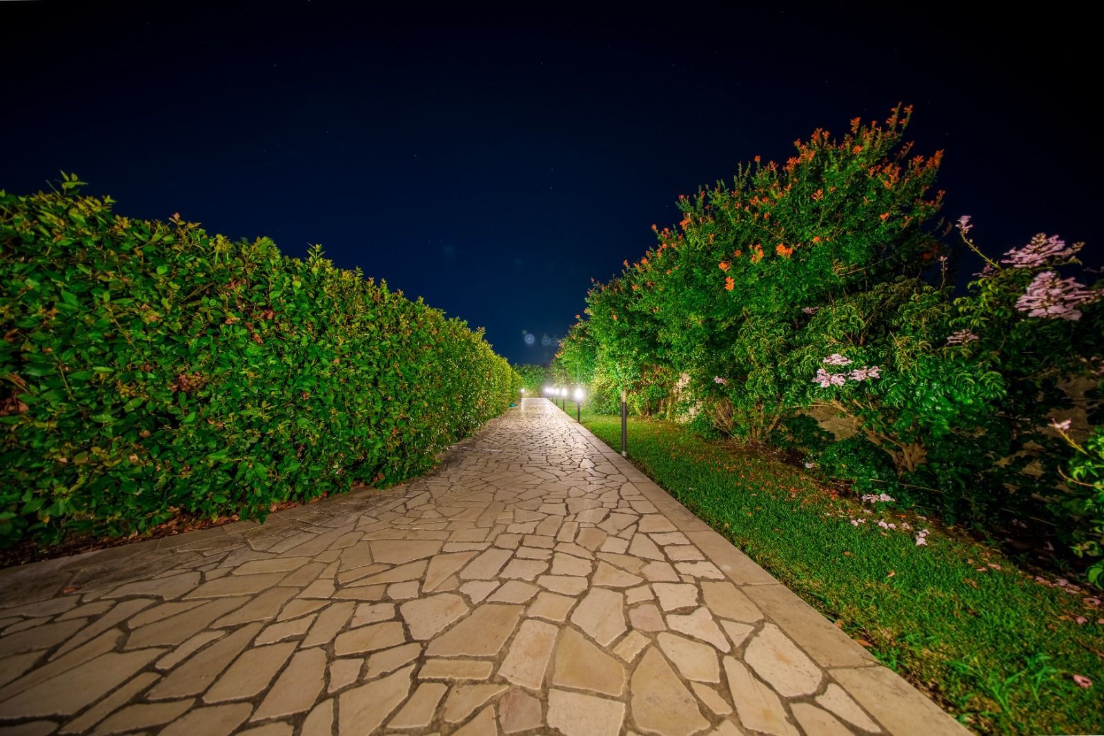 Sentiero in pietra di notte, fiancheggiato da siepi verdi e fogliame, illuminato da luci soffuse.