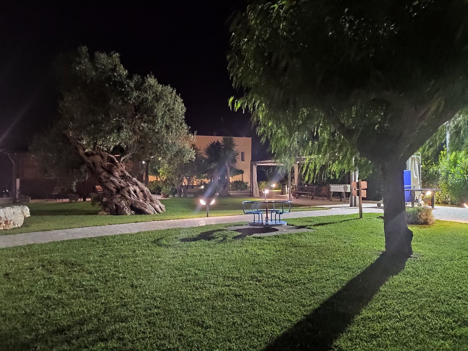 Scena notturna di un parco con alberi, sentieri ed edifici illuminati. Una panchina è adagiata sull'erba.