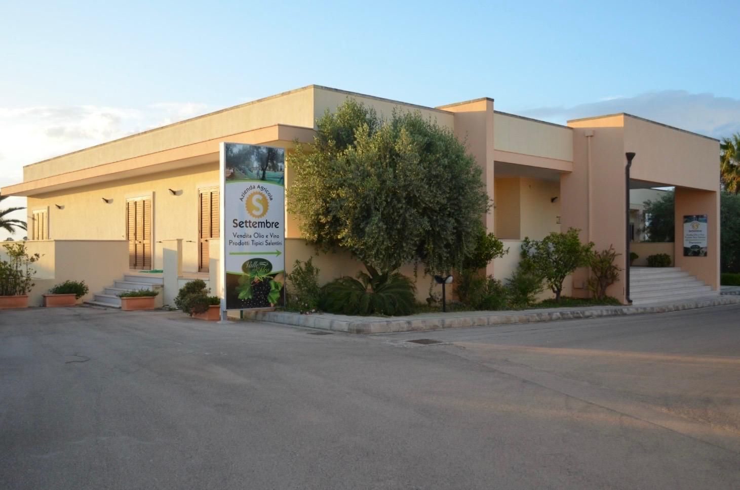 Un ulivo di fronte a un edificio con un cartello che indica 