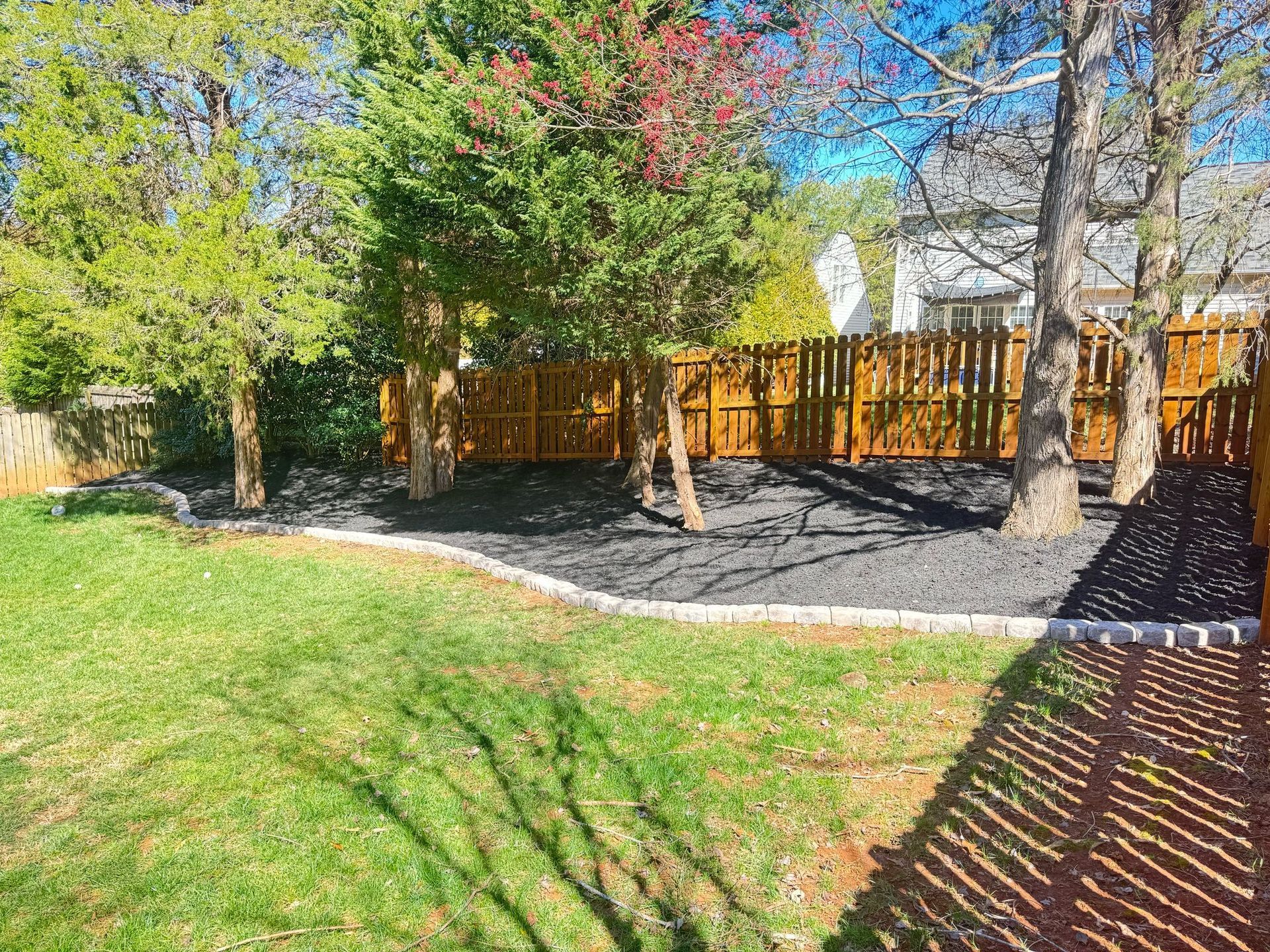 A backyard with a wooden fence and trees.