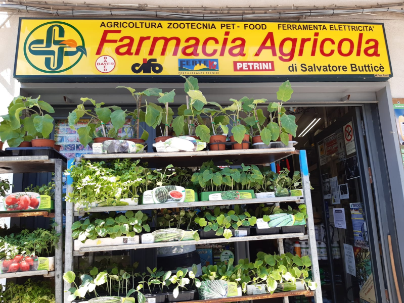 Una vista aerea di un trattore che ara un campo coltivato.