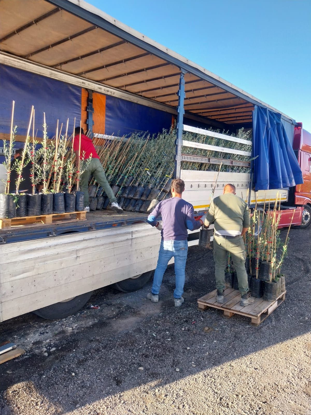 Un pappagallo è seduto sopra un coniglio in un mucchio di fieno.