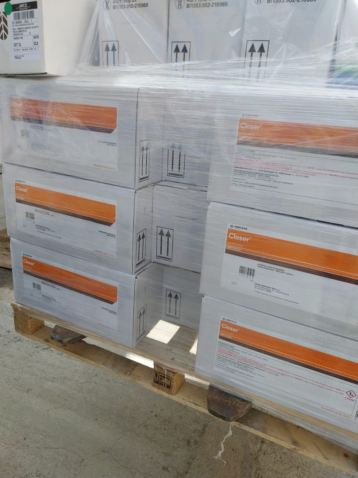 Un vassoio di fiori viola è appoggiato su un tavolo di legno.