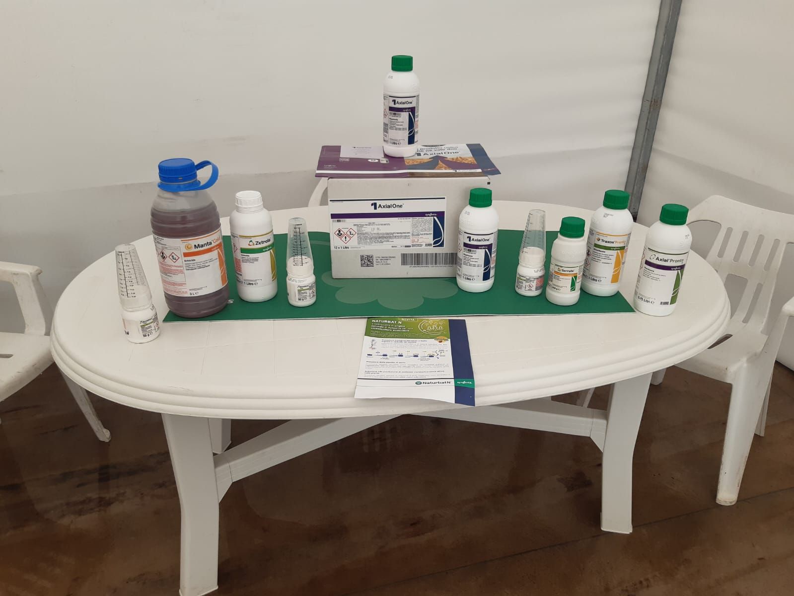 Un campo di piante di mais che crescono nella terra con alberi sullo sfondo.