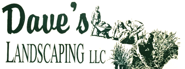 Logo, Dave's Landscaping & Tree Service - Landscaping Company