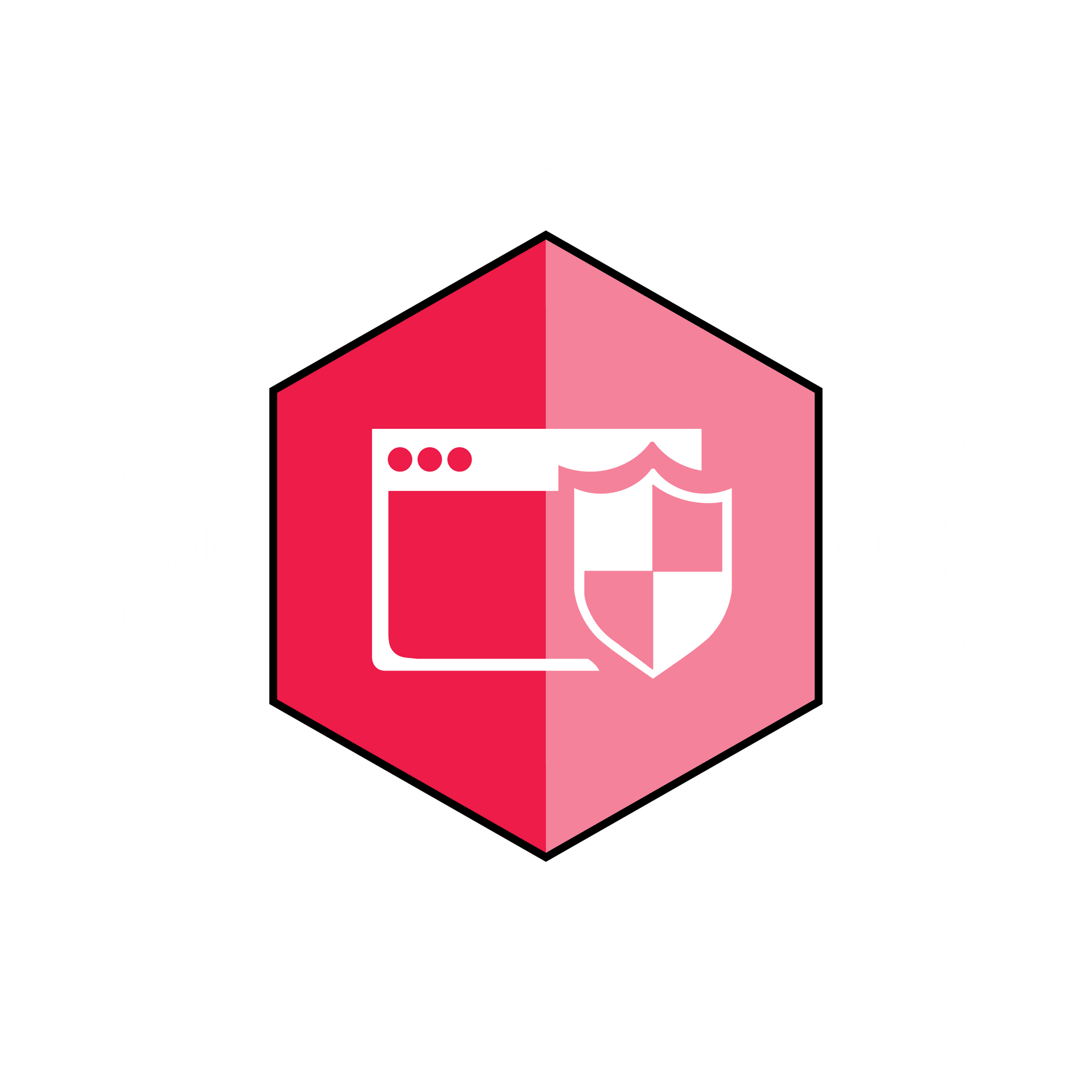 Internet Filtering icon