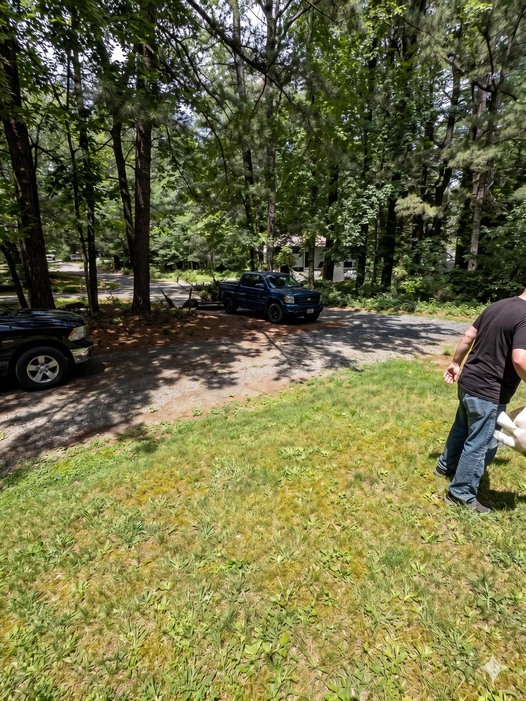 Tree-lined driveway with parked cars and a person standing on the grass near the road.