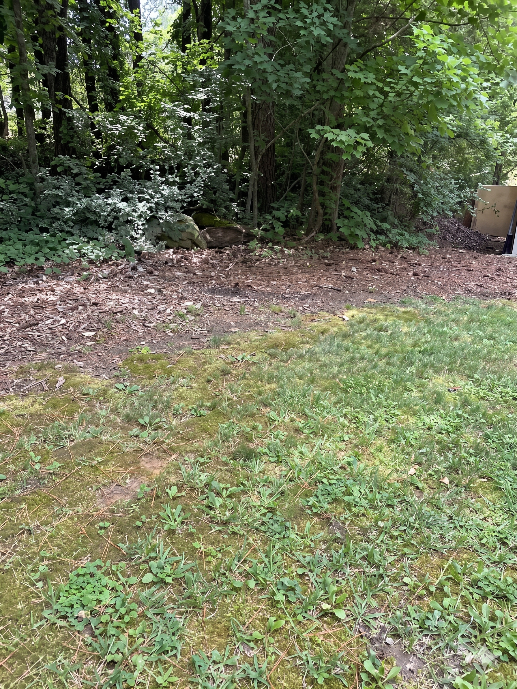 Backyard with green lawn and a small house beside a raised deck and screened porch.