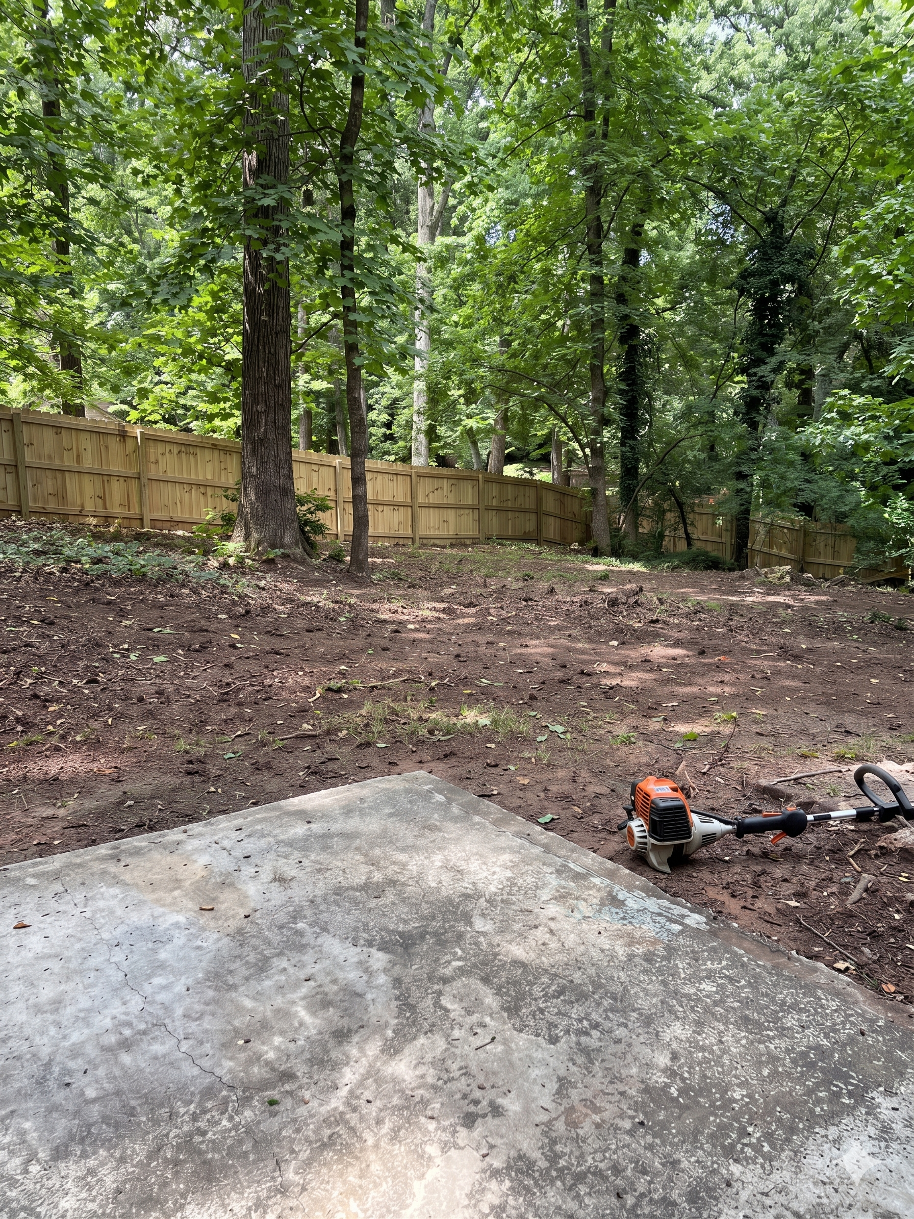 Dirt path beside green shrubs leading to a wooden fence with tall trees beyond