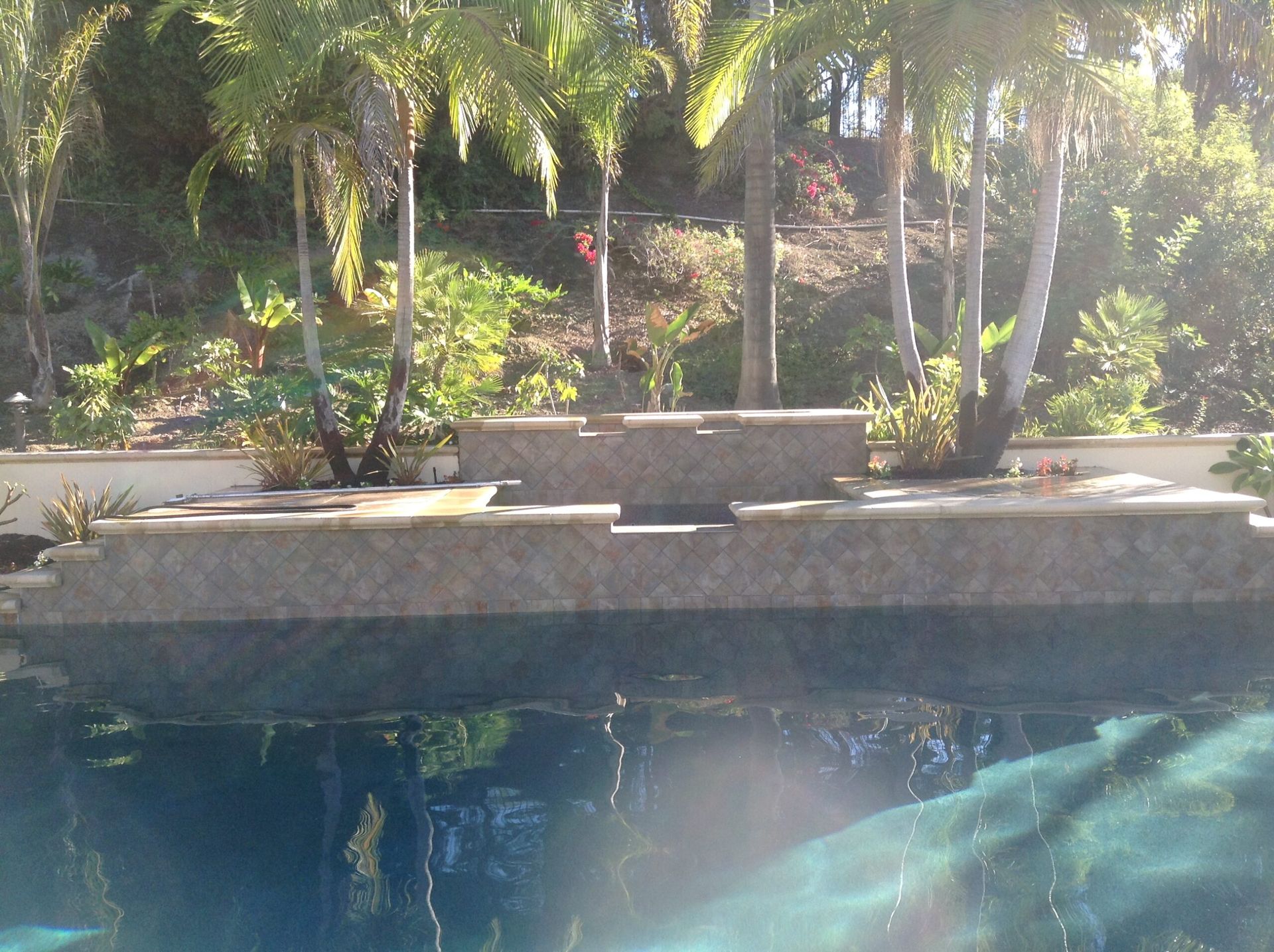 A swimming pool with palm trees in the background