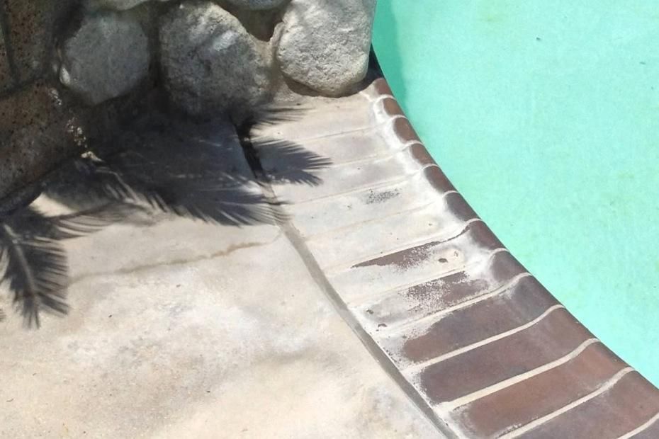 A brick walkway next to a swimming pool