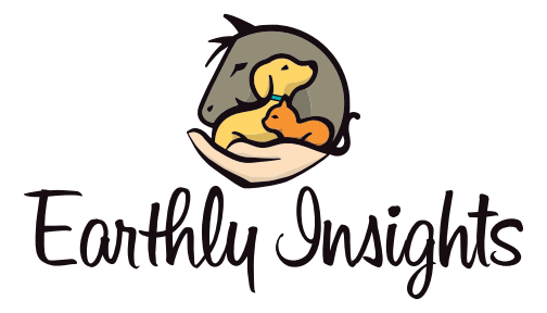 Henry's Dirt Works and Construction Earthly Insights