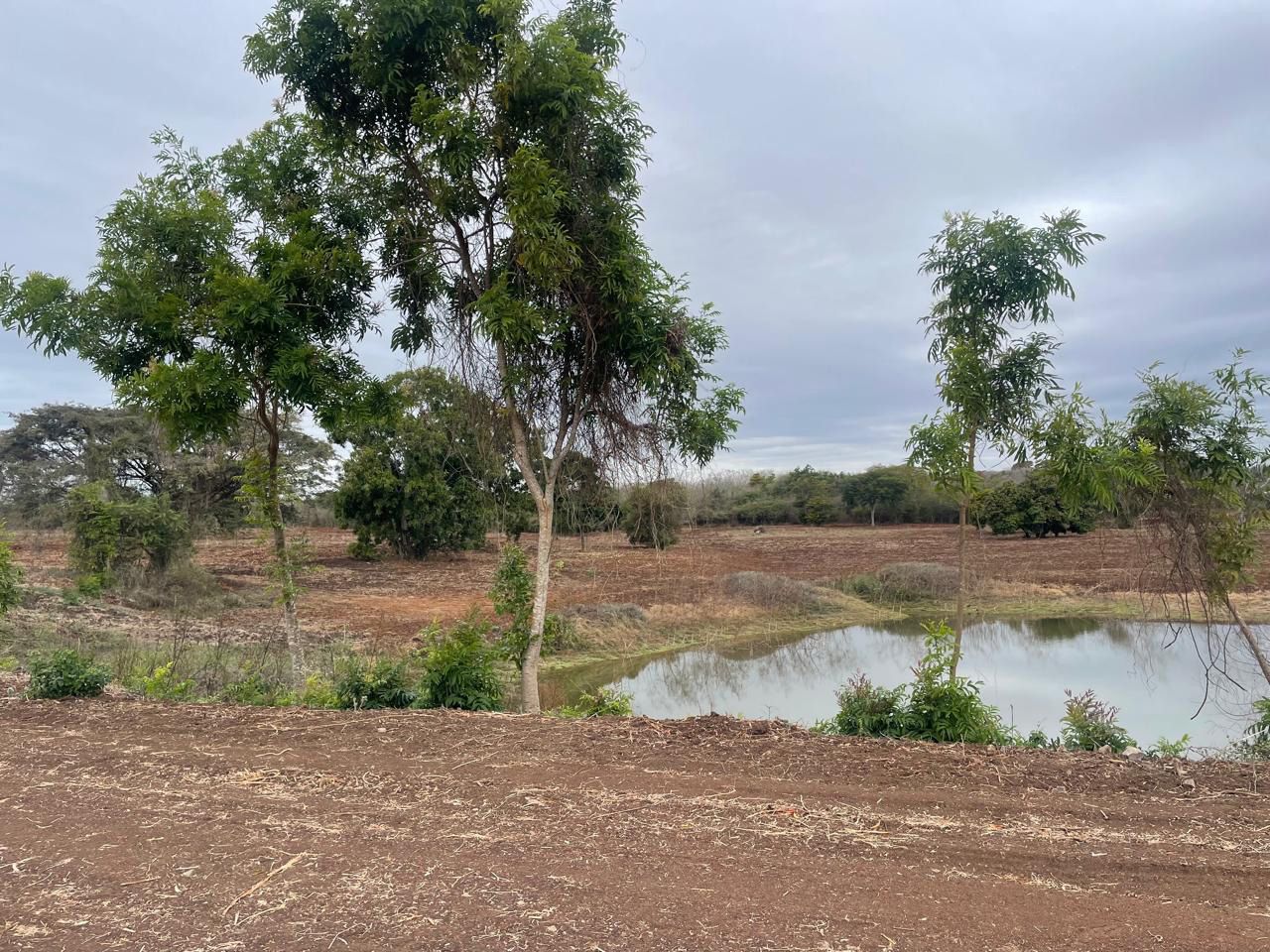 Terreno en Venta – Gran Oportunidad de Desarrollo Norte de Mazatlán, Sinaloa