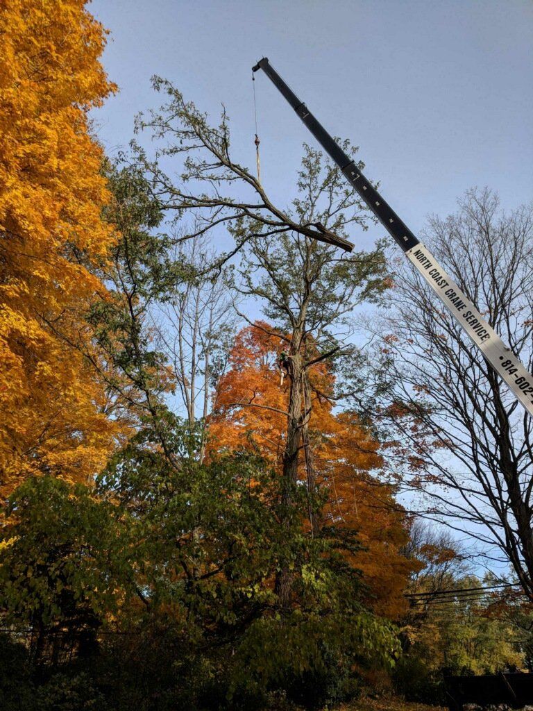 North Coast Crane Service Removing Tree Branch with Boom Truck, Meadville, PA