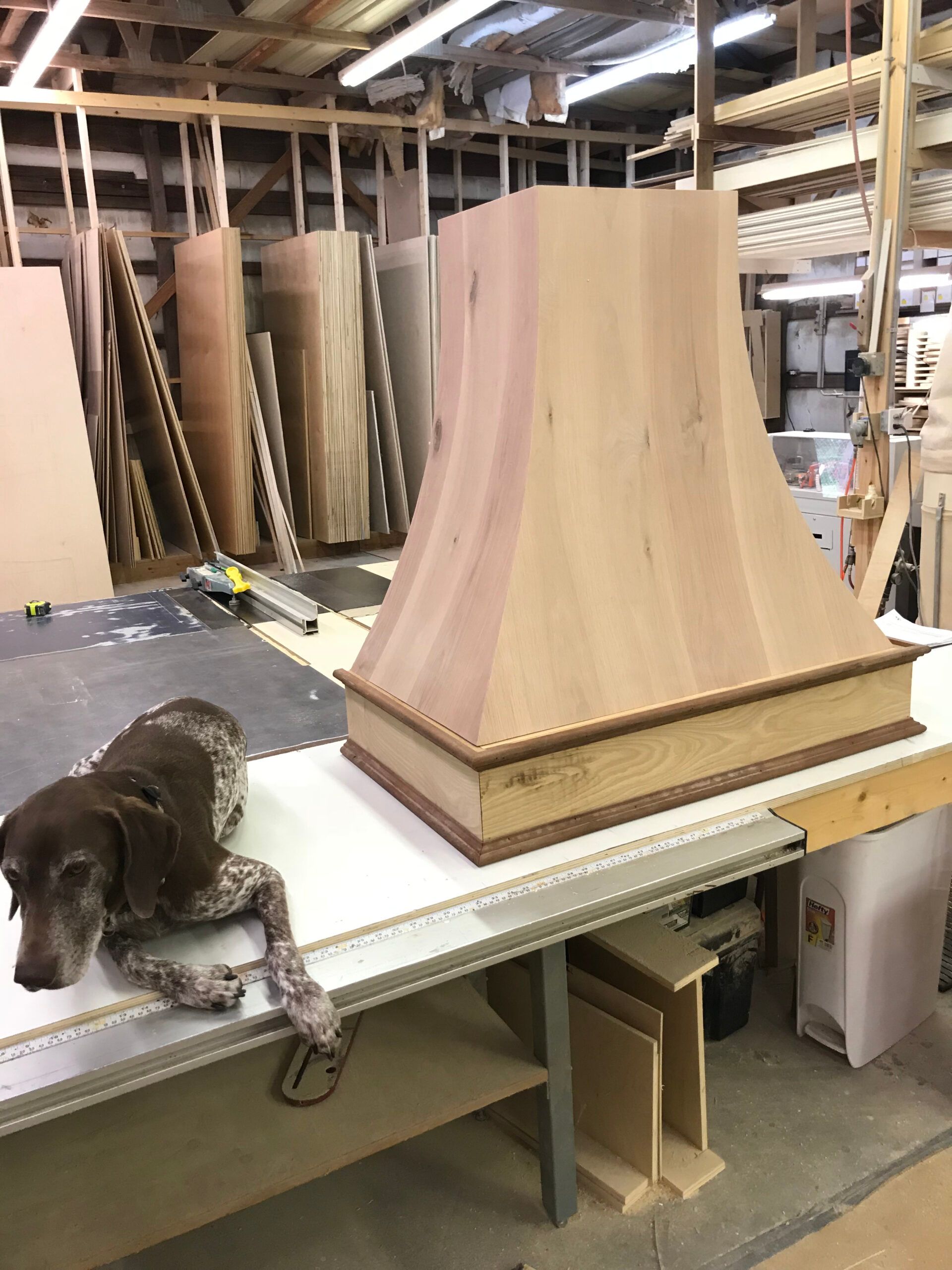 A dog is laying on a table next to a wooden item