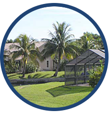 Lawn Care — Lawn with Palm Trees in Fort Myers, FL