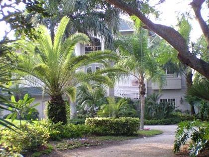 Tree and Shrub — Big House with Trees in Fort Myers, FL