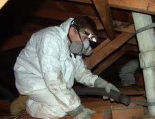 Man Cleaning the Attic — Fort Myers, FL — Perfection Lawn & Pest Control Inc