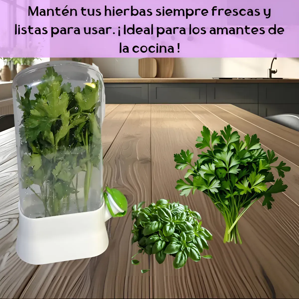 Huevera de plástico transparente con huevos marrones y recipiente para perejil.