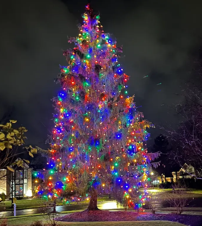 Large Christmas tree lit with colorful lights at night.