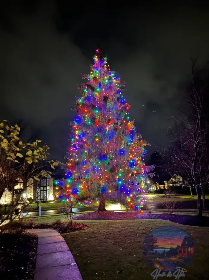 Large Christmas tree lit with colorful lights in a dark outdoor setting.