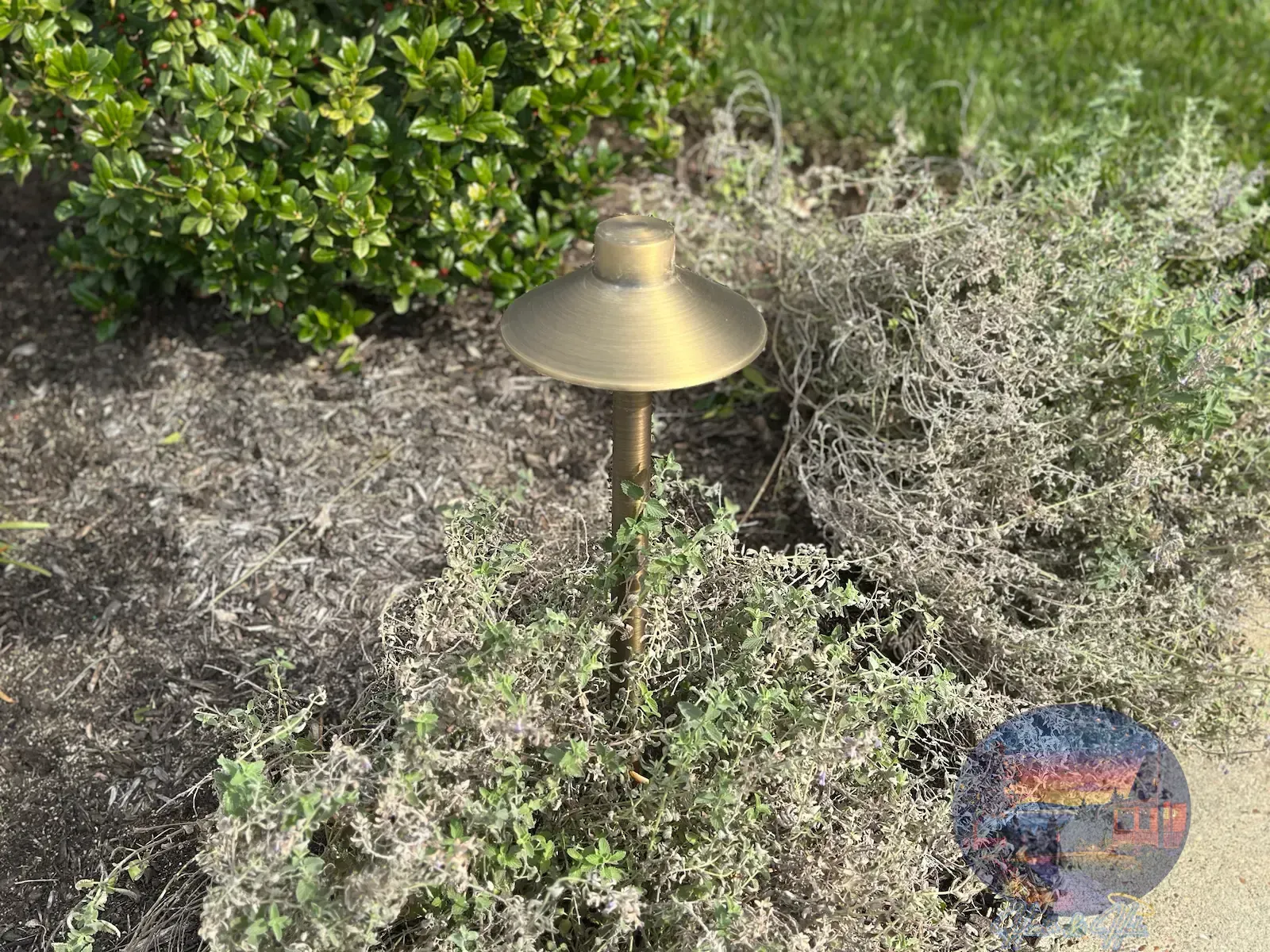 A garden bed with lush greenery, illuminated by warm outdoor lighting at night.