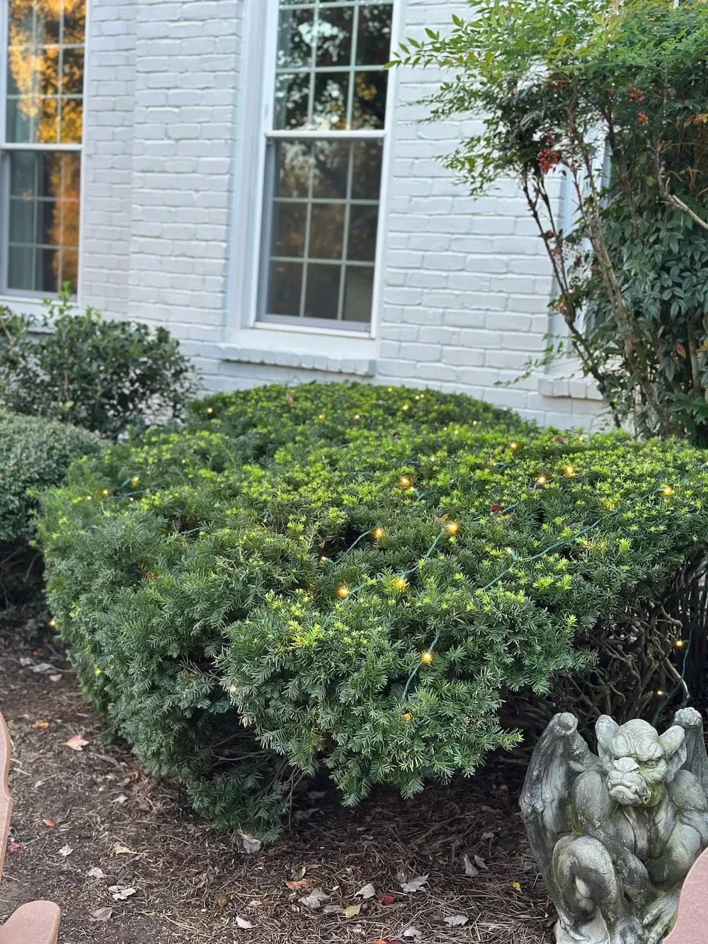 Green shrubbery in front of a white brick building with windows.