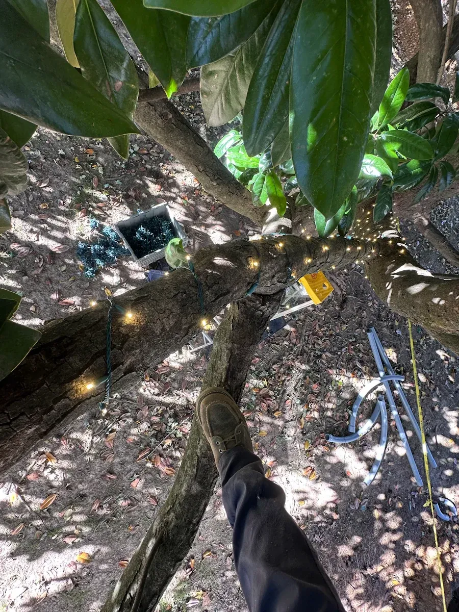 View from a tree, with string lights and tools visible. Someone's legs in dark pants are in the frame.