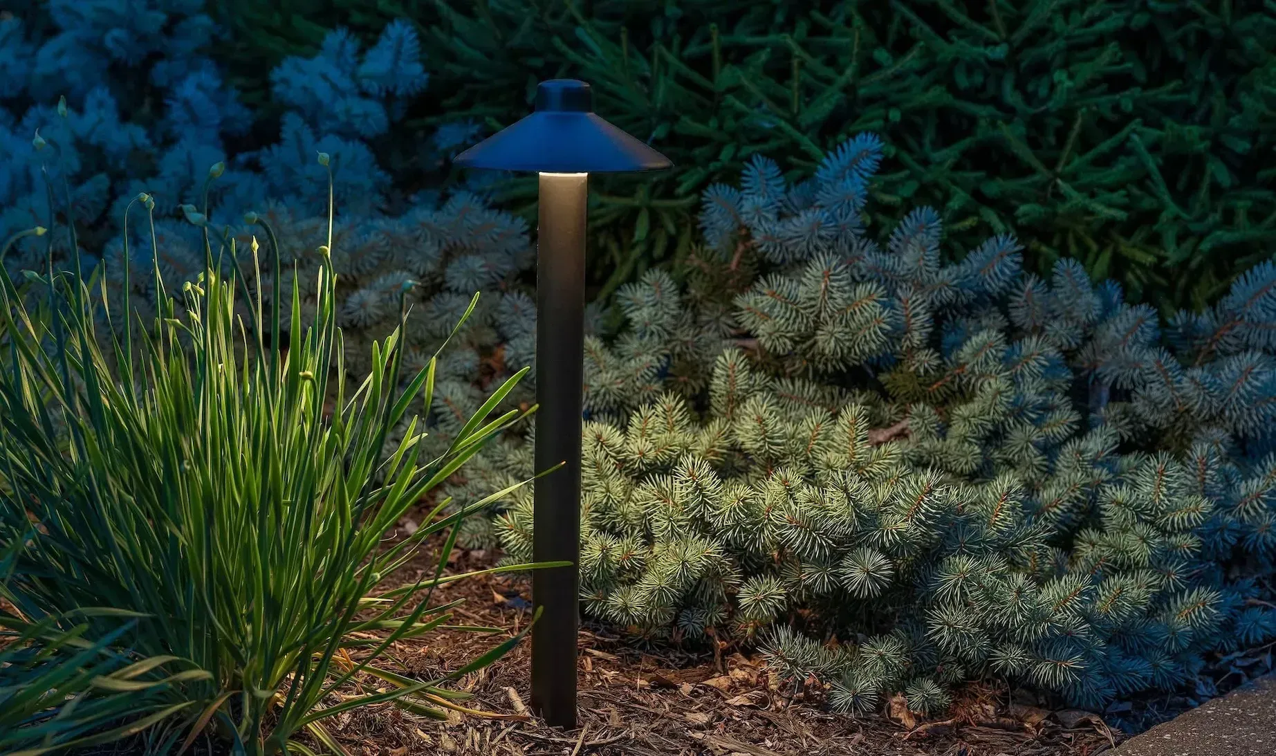 Black outdoor pathway light illuminating garden foliage.