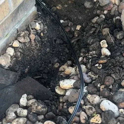 Black landscape lighting wire is being buried to hide the cable
