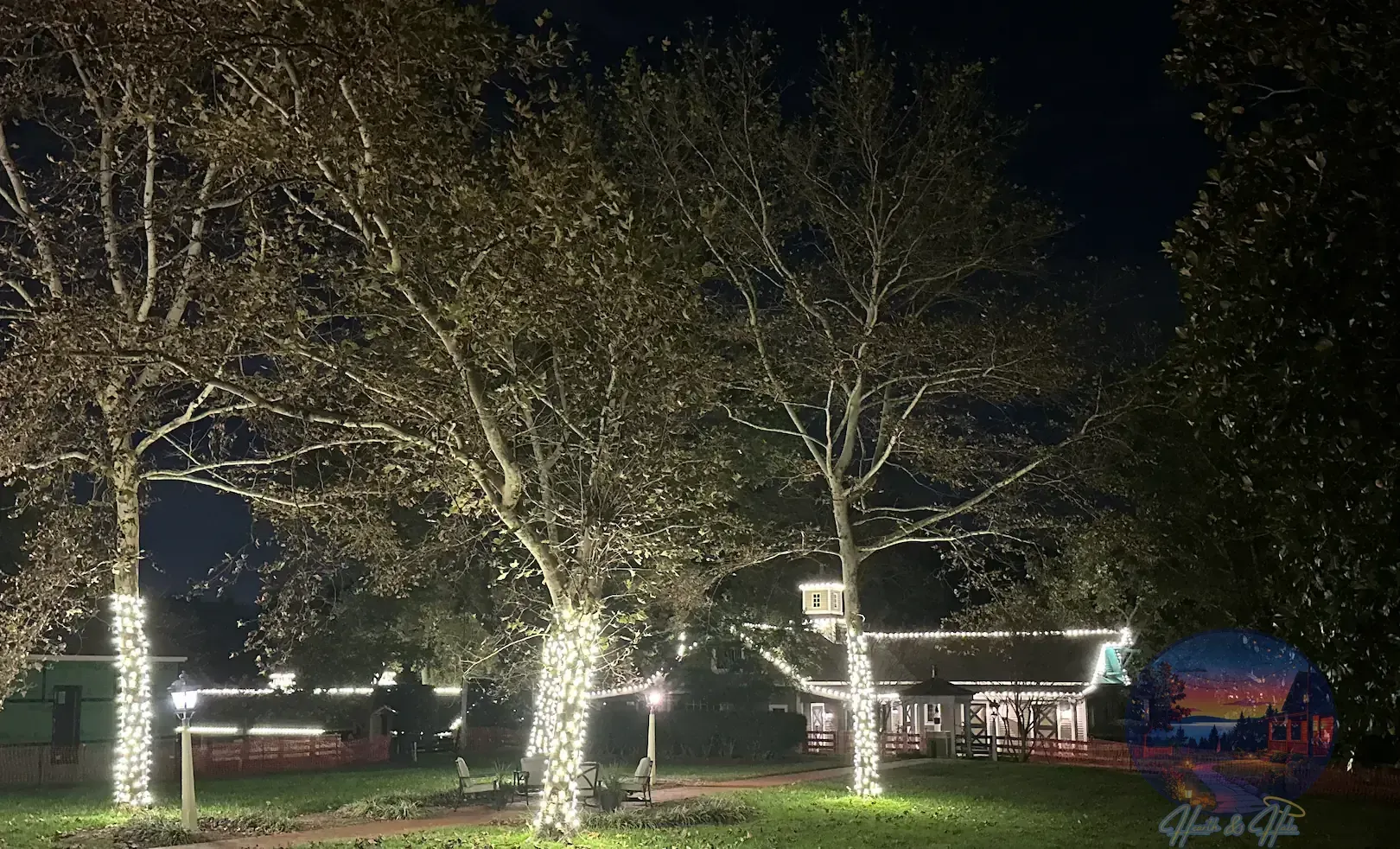 Trees wrapped in string lights illuminate a grassy park at night, with a building in the background.