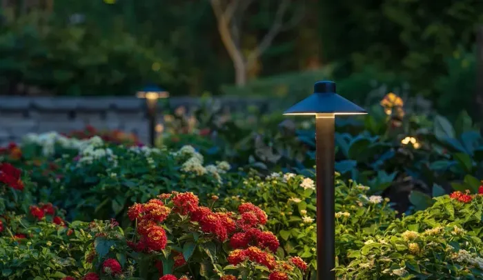 Outdoor garden with red and white flowers illuminated by landscape lighting.