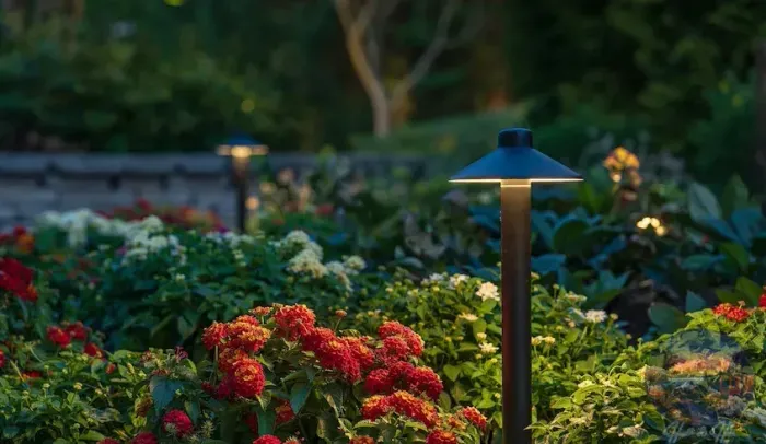 Outdoor garden with red and white flowers illuminated by landscape lighting.