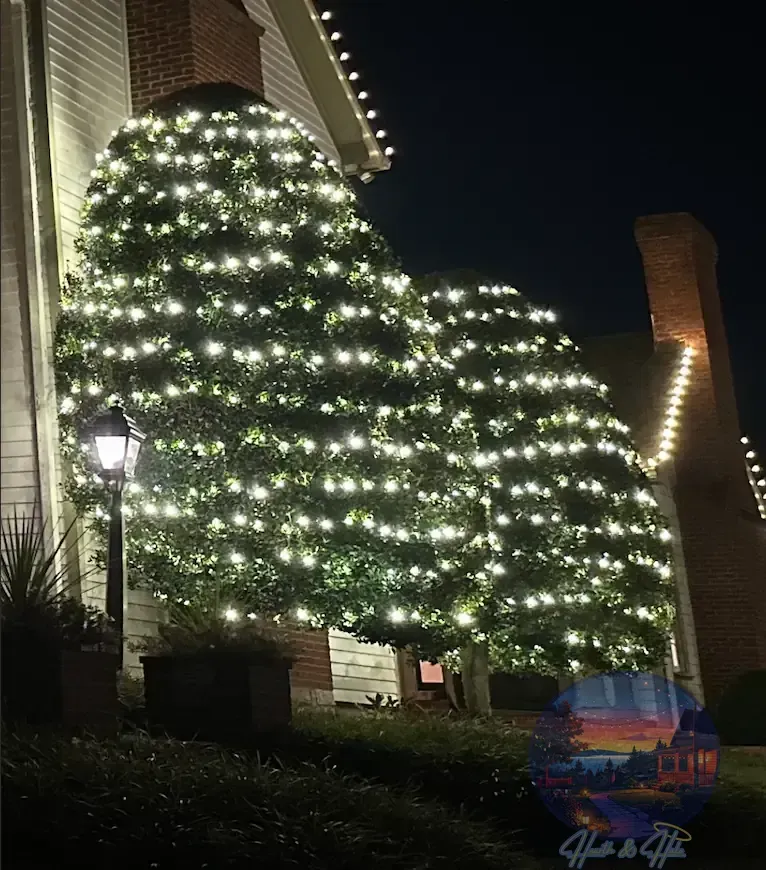 Two topiaries covered in white lights flank a building at night.