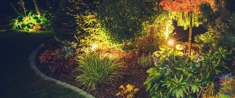 A garden bed with lush greenery, illuminated by warm outdoor lighting at night.