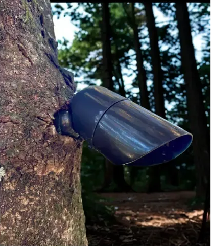 Dark blue outdoor spotlight attached to a tree trunk, forest in the background.