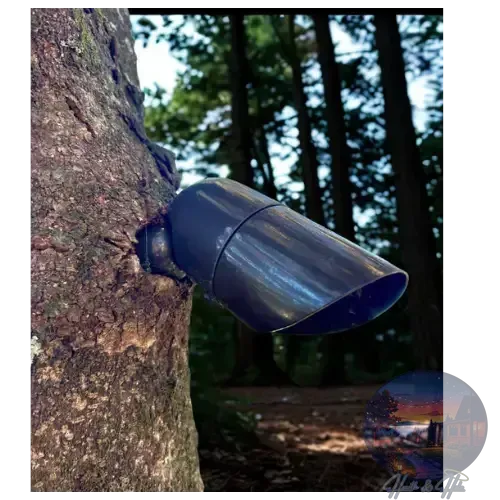 Dark blue outdoor spotlight attached to a tree trunk, forest in the background.