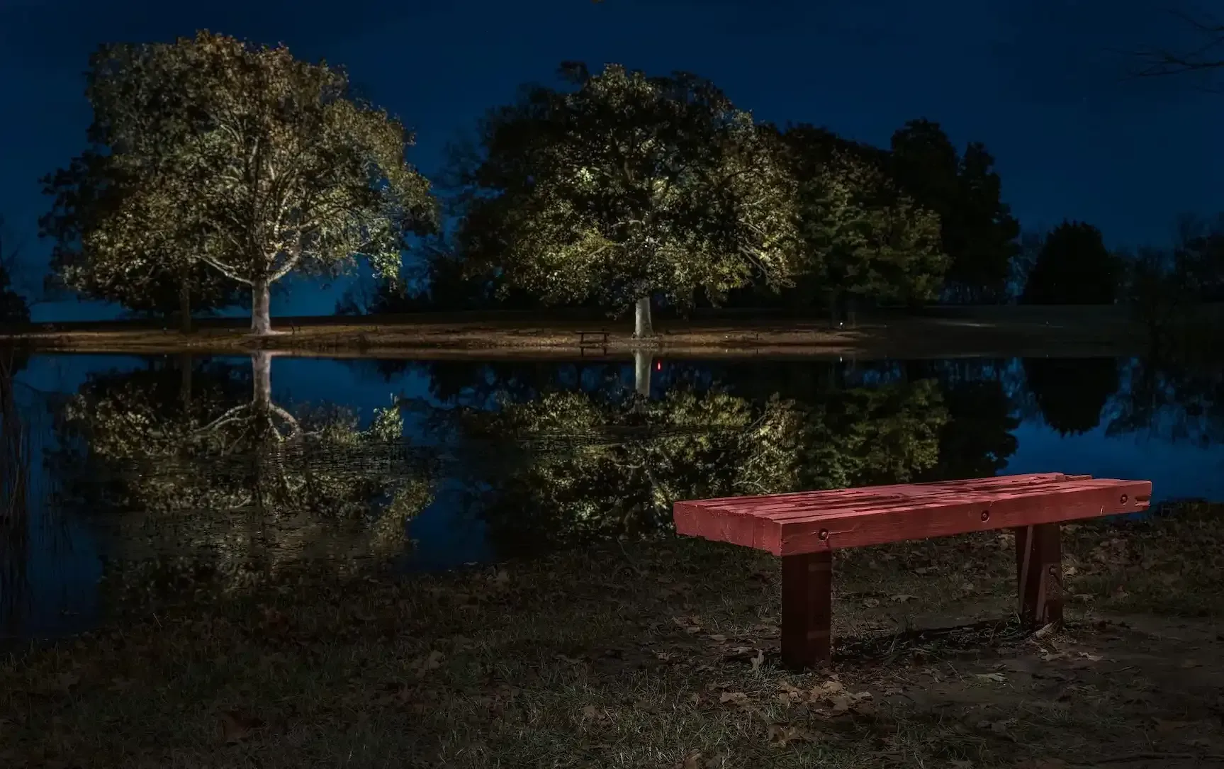 A red bench sits by a dark pond reflecting lit trees at night.